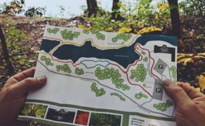 Guide to Survival Analysis