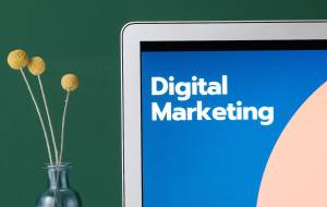 Digital Marketing Budget