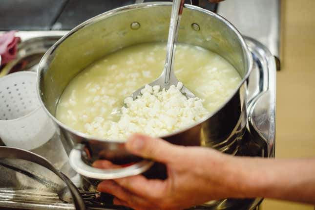 Image for article titled Everything You Need to Make Your Own Cheese