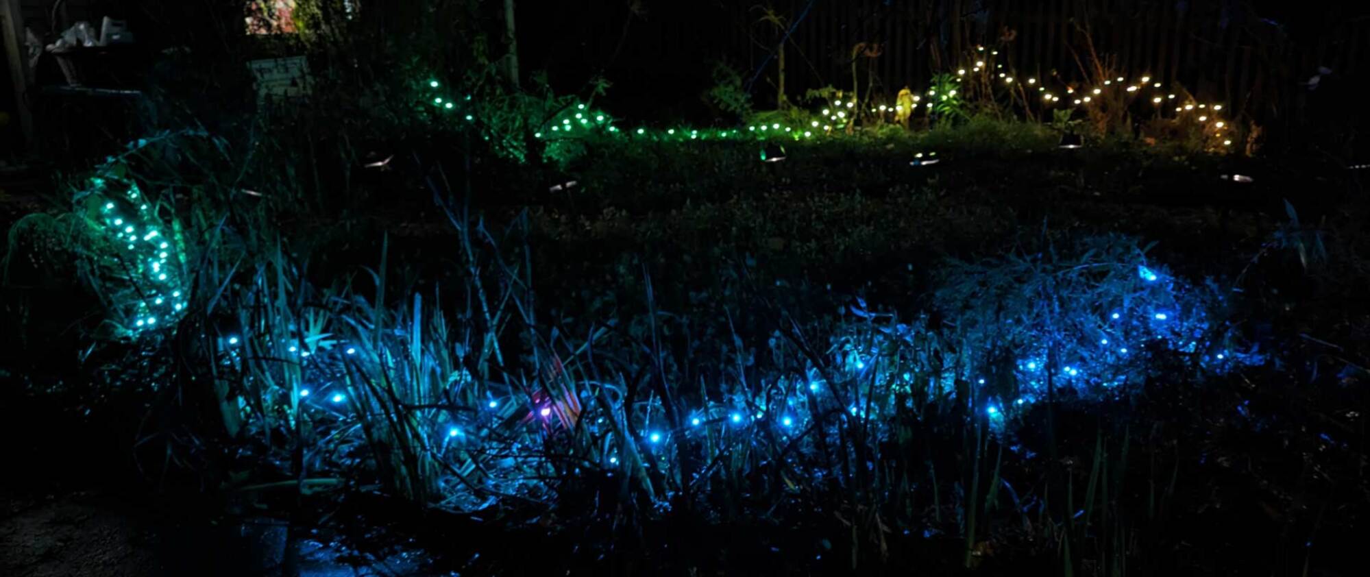 Nanoleaf holiday string lights