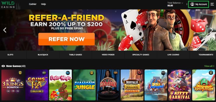 Step 3 - Go to Your Account Dashboard
