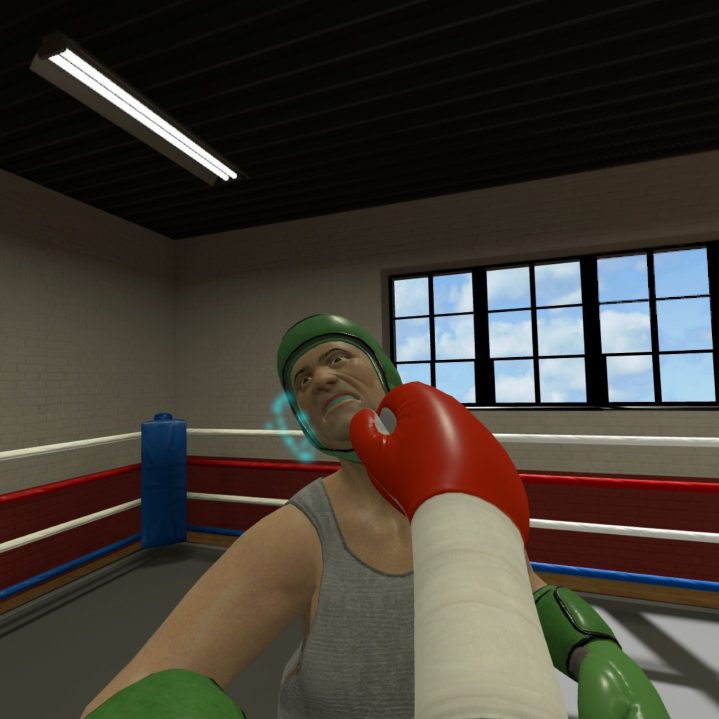 Sparring in The Thrill of the Fight